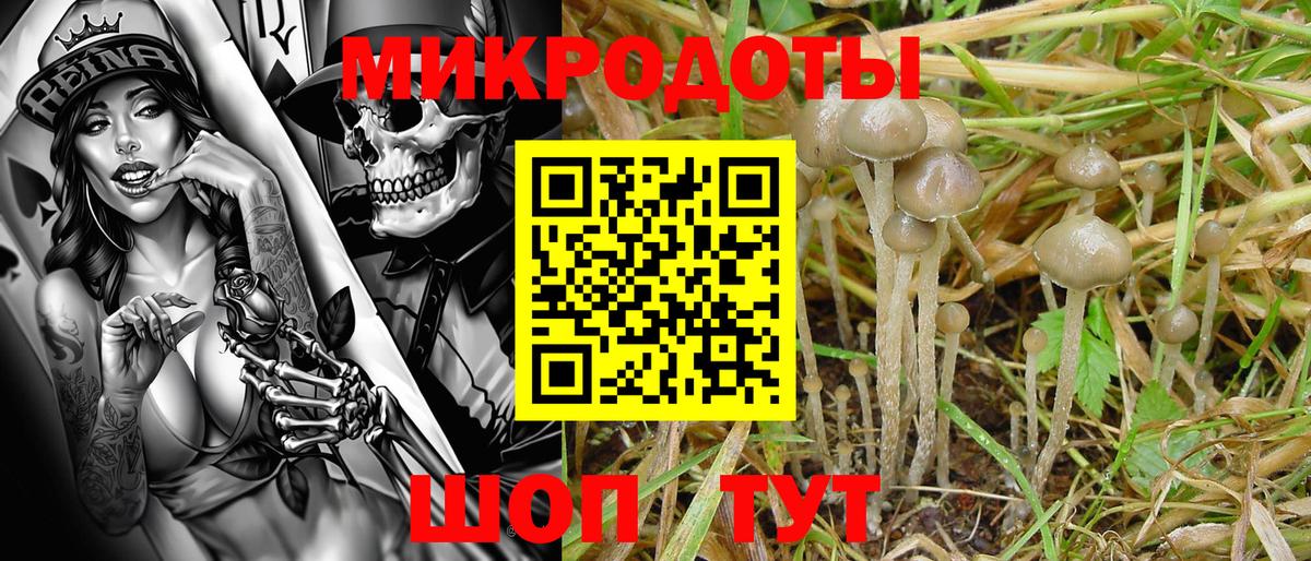 Лесозаводск  Псилоцибиновые грибы GOLDEN TEACHER  Вход с VPN 